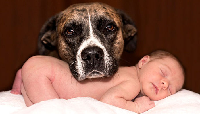 Poznati alergolozi savjetuju: “Ne treba biti previše čist – pustite djecu da se malo zaprljaju, tako jačaju imunitet.“