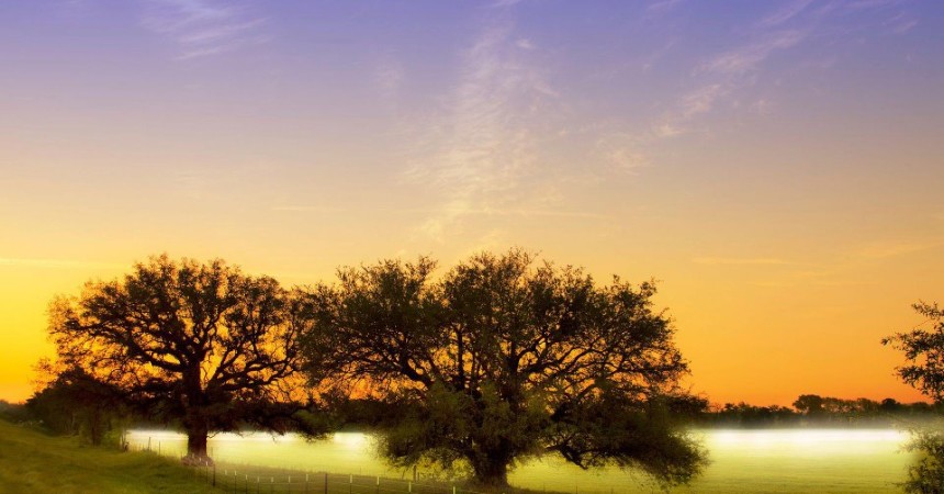 Pablo Neruda: Zabranjeno je odustati od svega zbog vlastitog straha!