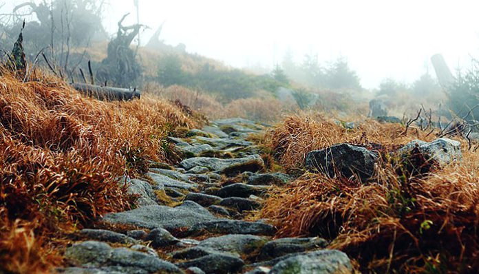 Kad ti je jako teško, kad te nešto strašno muči – Samo napravi OVO!