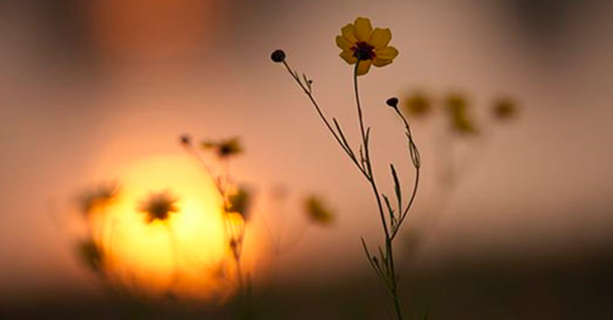 Čovjek se voli dok je živ, ne kada umre!