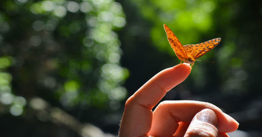 Kada shvatite da ništa nije slučajno događa se jedno vaše novo rađanje!