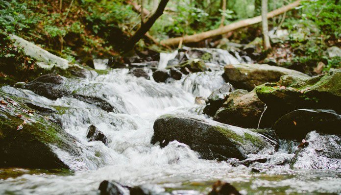 Radost prepuštanja – Sve se događa samo od sebe