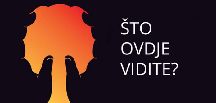 Šta ste prvo ugledali na ovoj slici? Odgovor vas može vrlo iznenaditi!