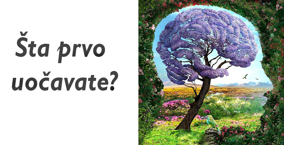 Prvi DETALJ koji PRIMJETITE na slici otkriva PODSVJESNE TAJNE o vama