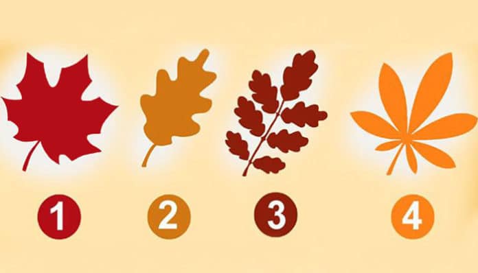 Odaberite najprivlačniji list i otkrijte kakav ste partner – Jedan je specijalan!