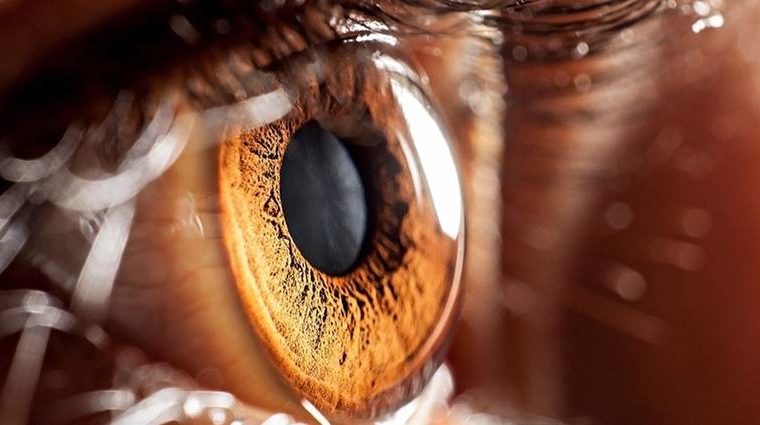 Ako imate smeđe oči, to znači nešto veoma posebno