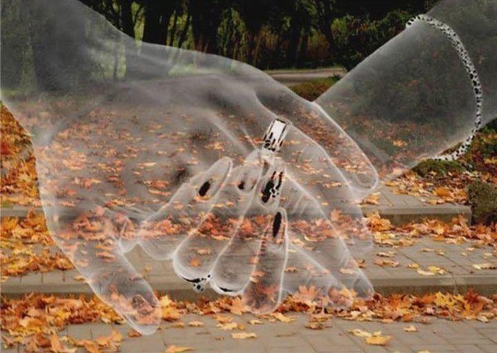 Pitao je mudraca kako će znati voli li ga žena. Ovo je odgovor…