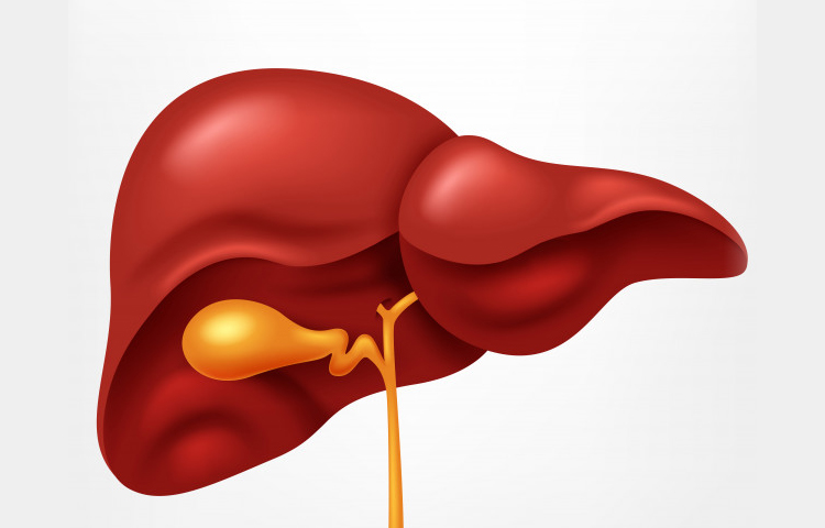 Samo jedan gutljaj svako jutro za zdravu JETRU!