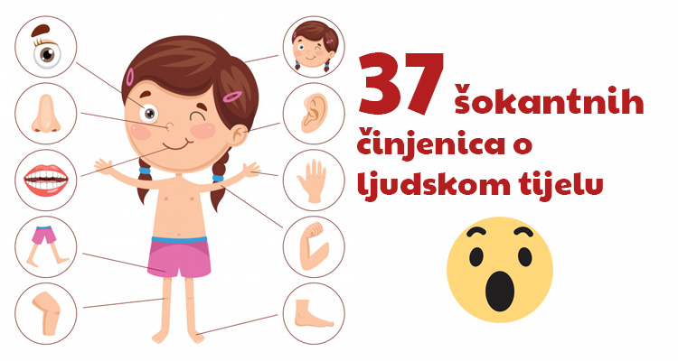 37 šokantnih činjenica o ljudskom tijelu