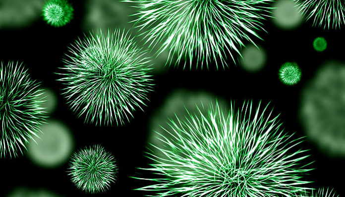 Stručnjaci poručuju: “Izgladnite bolest i ozdravite!”