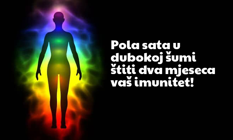 Pola sata u dubokoj šumi štiti dva mjeseca vaš imunitet!