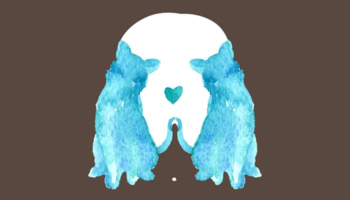 Mačka ili pas: Ljubimac kojeg ste prvo ugledali otkrit će nešto zanimljivo o vašoj osobnosti