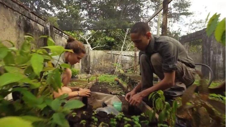 Novi zakon na Filipinima: Učenici ne mogu da završe školu ako ne posade bar 10 stabala