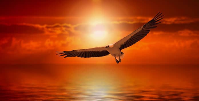 Kada upoznaš ljude koji ti daju krila