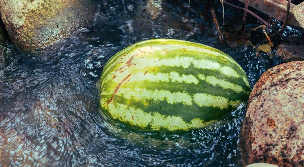 Jeste li pojeli prvu lubenicu? Ima ih na svakom ćošku, a evo i kako odabrati najbolju