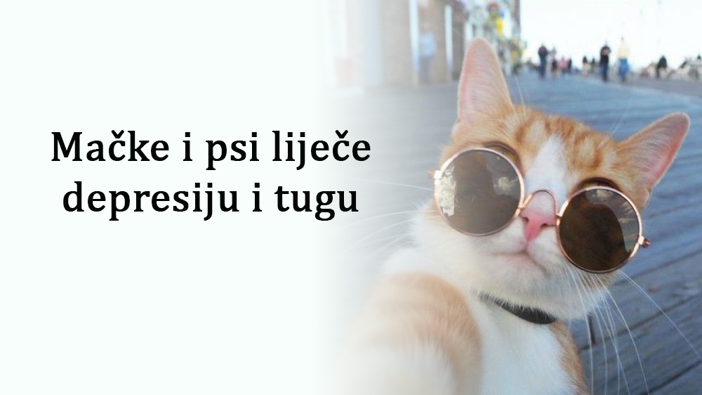 Mačke i psi liječe depresiju i tugu