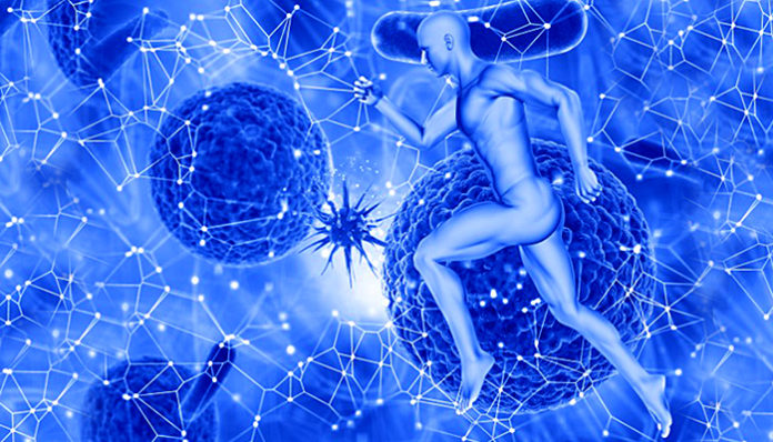 Gladovanje potiče regeneraciju matičnih stanica oštećenog i starog imunološkog sustava