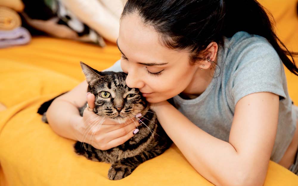 Mačke ne vjeruju svakome, samo posebnim ljudima: Znakovi jake veze između mačke i vas