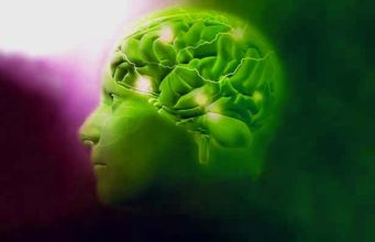 10 stvari koje žena treba znati o muškom mozgu: Zadnja je neočekivana!